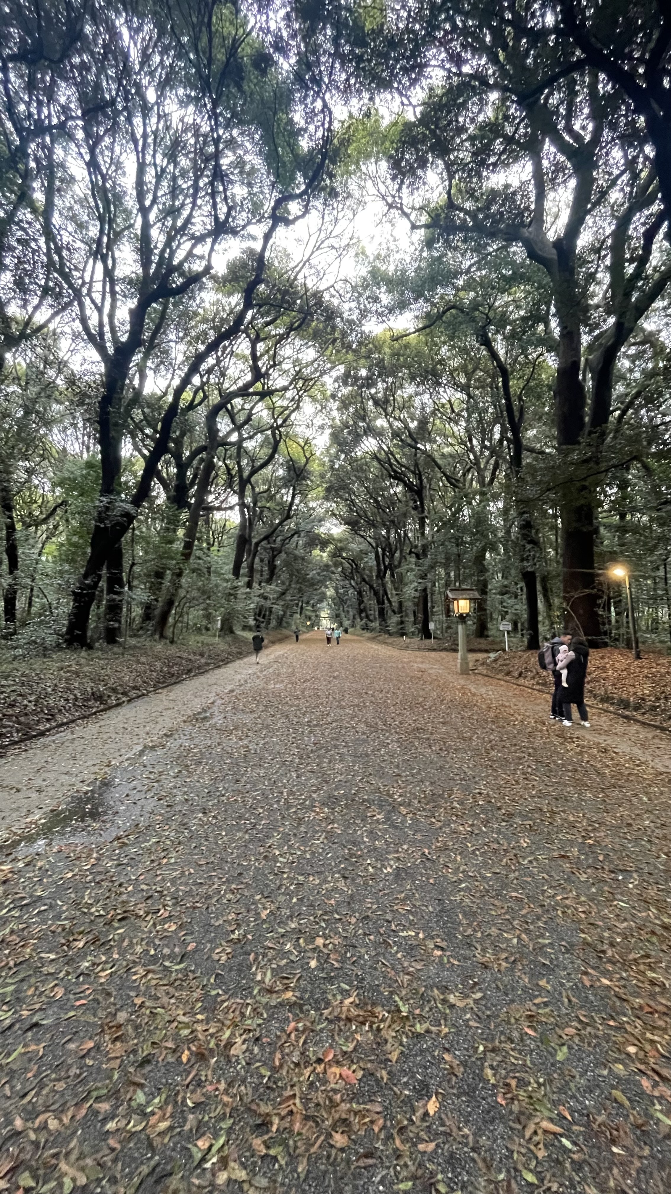Meiji Jingu